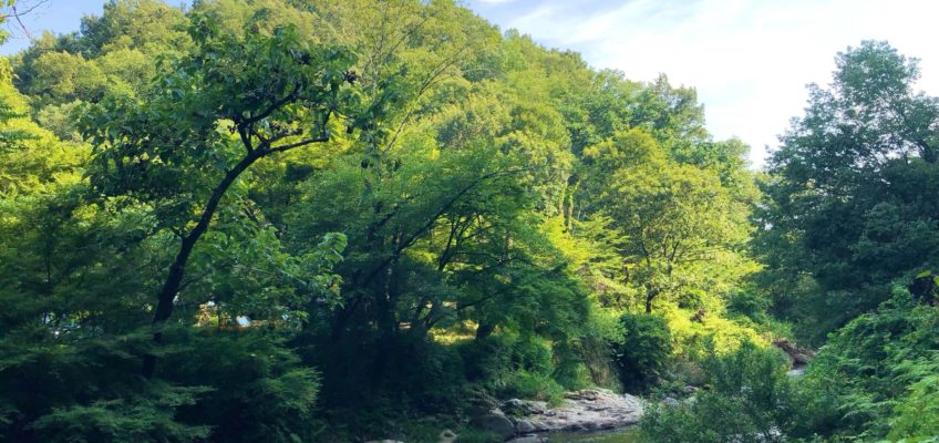 2025年8月〈夏季休業〉