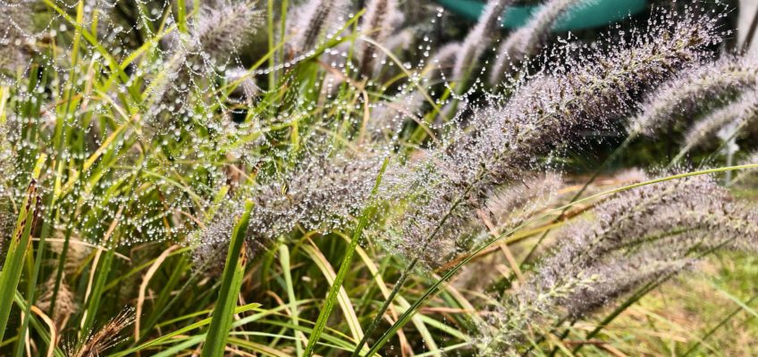 2025年10月レストラン＆カフェ休業中